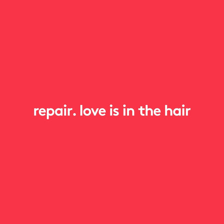 evo repair