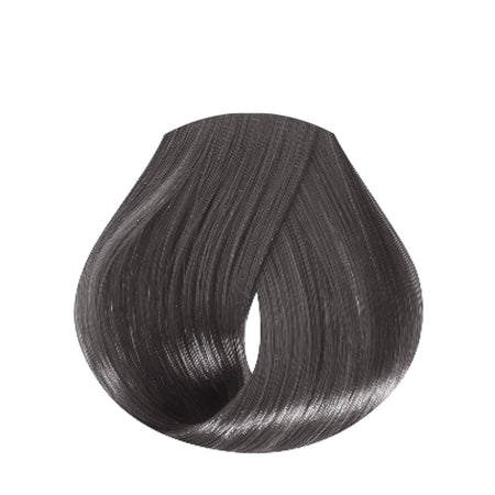permanent colour 8.1