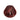 demi-permanent gloss 6.55