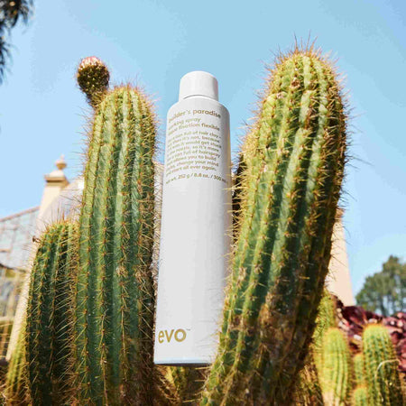 builder's paradise working spray