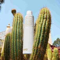 builder's paradise working spray 300ml