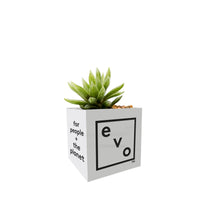 planter box (small)