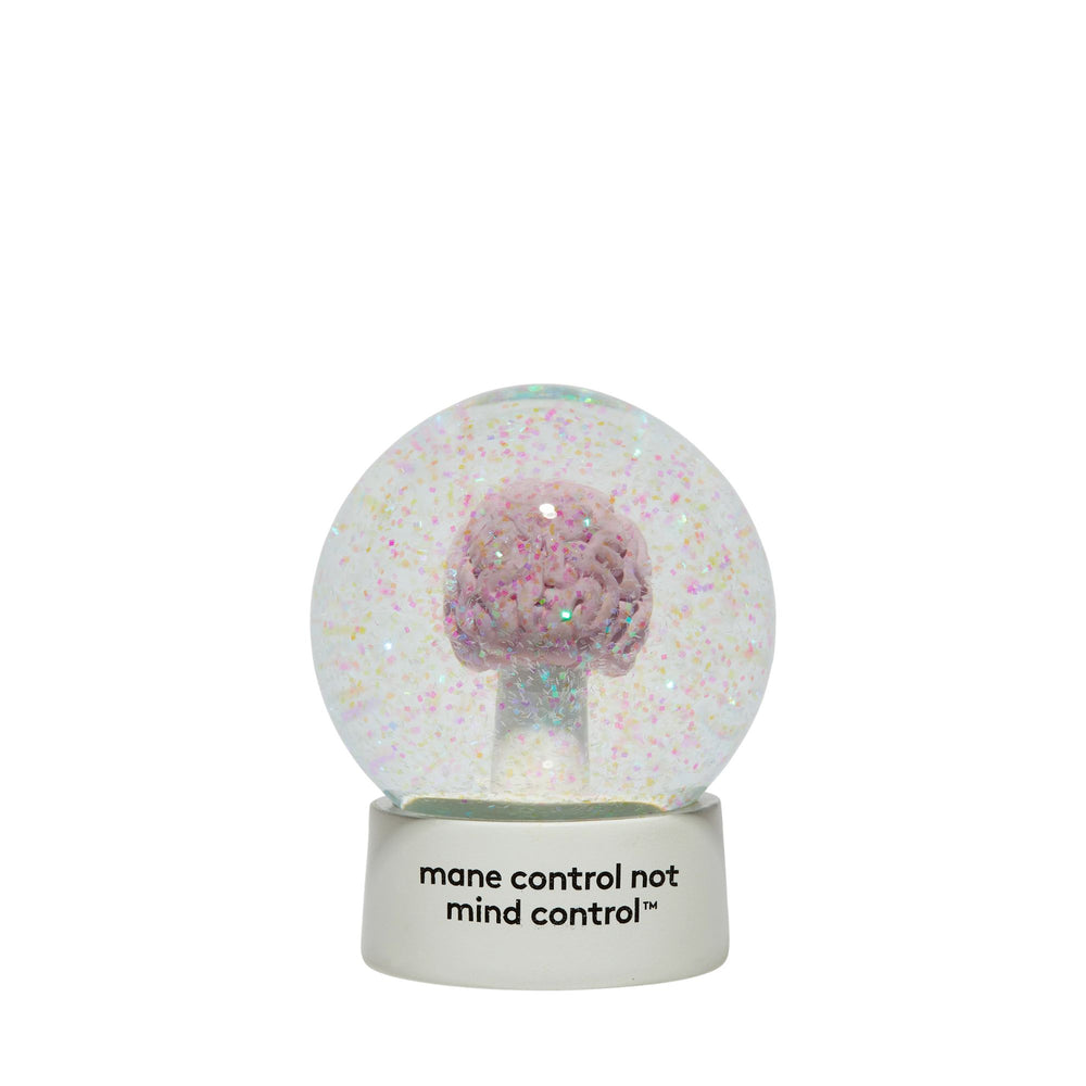 brain snow globe