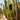 spike nylon pin bristle radial brush